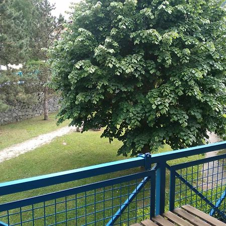 Duplex Lumineux - 40M2 - 2 Chambres - Balcon Terrasse - Parking - Entierement Renove En Mai 2024 Cauterets Dış mekan fotoğraf
